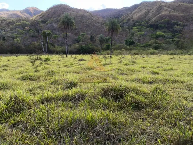 Fazenda - Natividade - Zona Rural