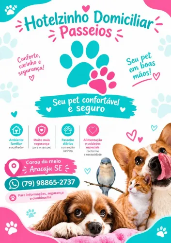 Pet sitter (hotelzinho domiciliar e passeios)