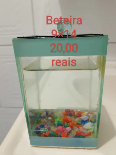 Aquário para beta