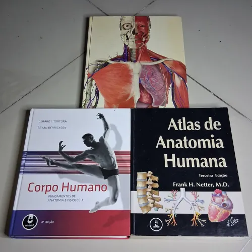 Atlas Anatomia Humana 3 livros ( Usado )