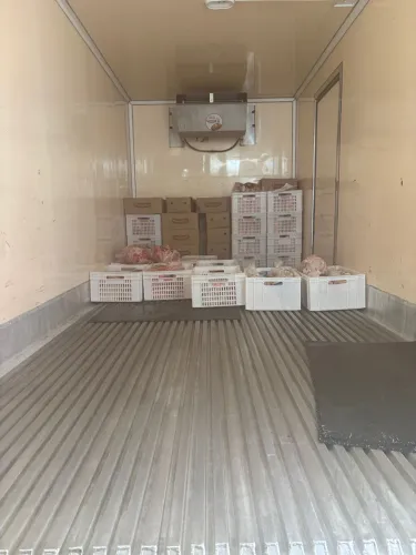Caminhão Ford cargo 815 baú frigorífico 
