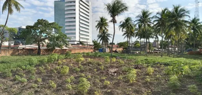 Área com 3000m² na Gruta de Lourdes