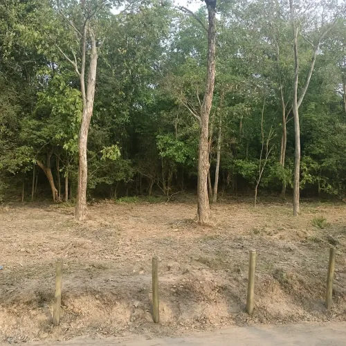 BAIXEI BLACK Lotes no Balneário, ponta fruta, troco, parcelo
