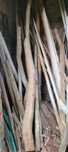 9 peças de bambu e três troncos secos. Retirar em Ipanema.