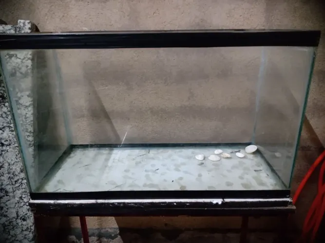 Aquário 100 litros pra ir embora hoje