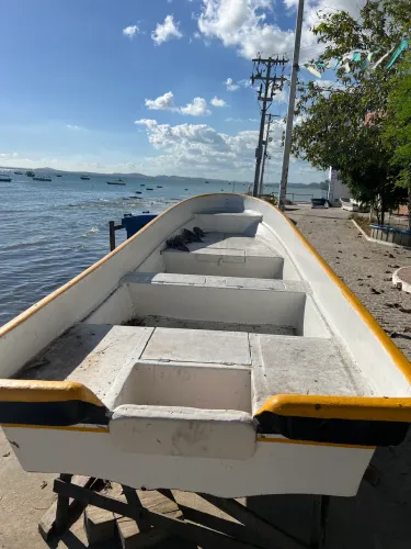 Barco lambari panga