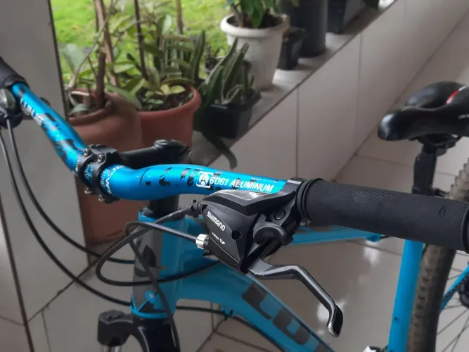 Bicicleta lotus aro 29