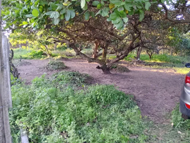 Vende-se lotes de terrenos em Extremoz. 300 metros depois da estátua do grude, próximo BR.
