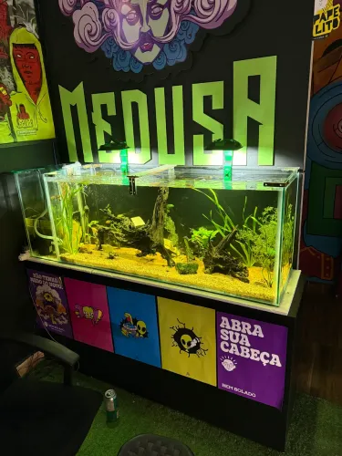 Aquário 280 litros
