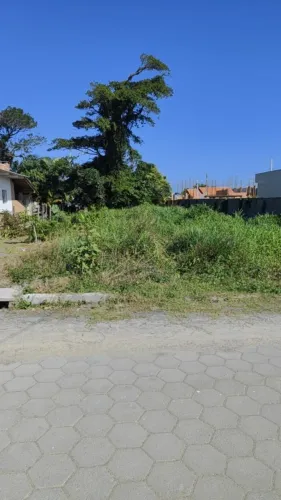 Terreno para Venda em São Francisco do Sul, Praia do Ervino