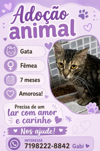 Adoção Animal 