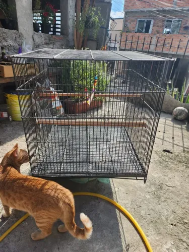 Gaiola Para Pássaros 