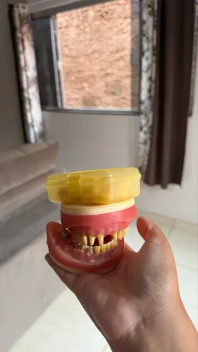 manequim de dentistica com dentes de estoque