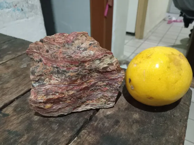 Madeira petrificada