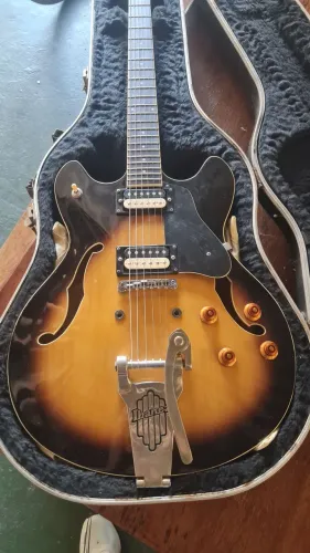Guitarra semi acústica