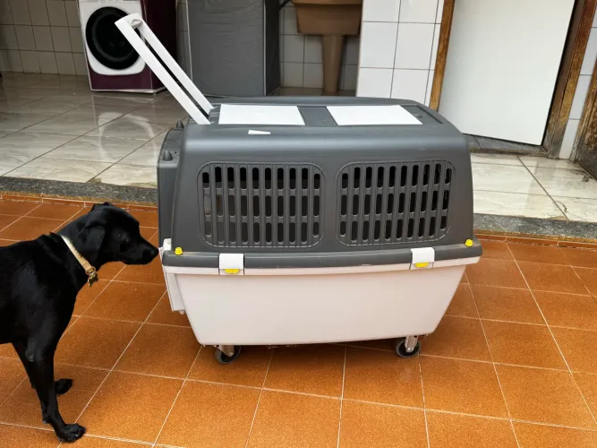 Cx transporte pet Gulliver nº 5 original