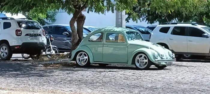 Serviços de marido de aluguel