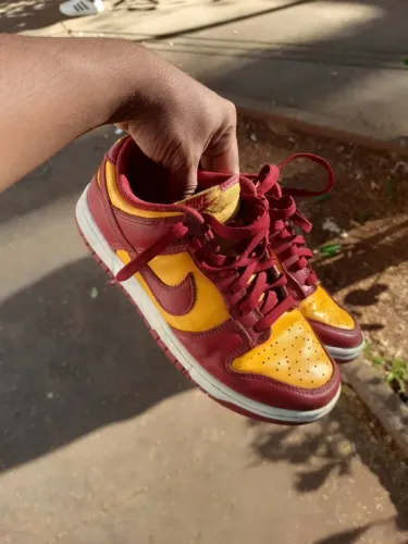 Nike dunk 38
