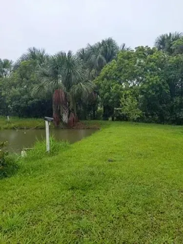 VENDO 16 ALQUEIRES NA REGIÃO DE FAZENDA NOVA