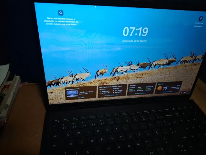 Notebook Dell