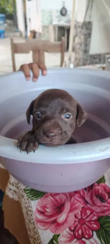 adoração consciente 