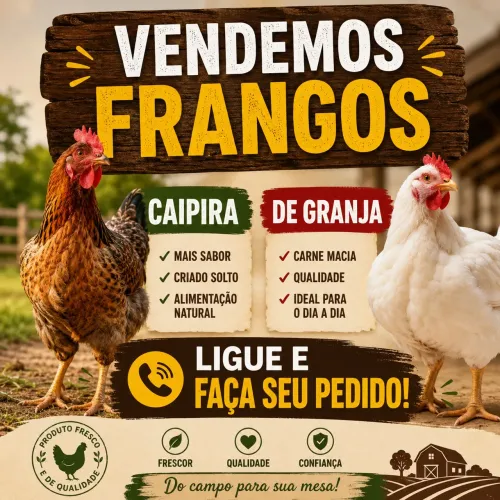 Frango de caipira e de granja 
