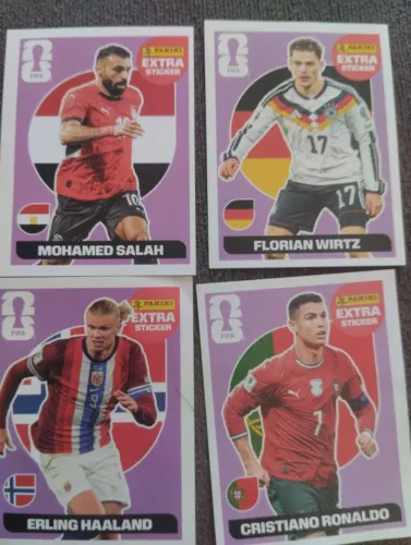 Panini 