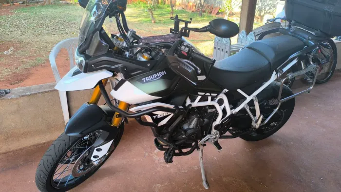 Tiger 900 GT