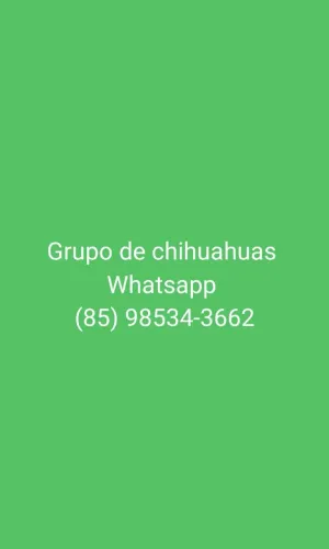 Grupo 