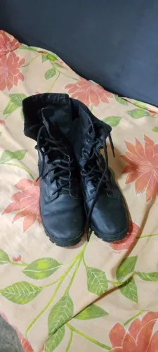 Bota