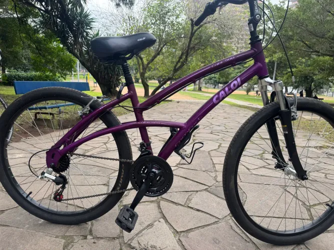 Bicicleta Caoi 500