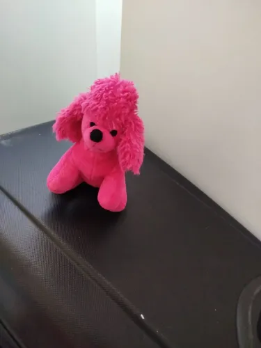 Cachorrinha Poodle Rosa Barbie Pets - Pelúcia Original Fun Divirta-se