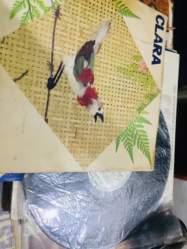 Disco vinil