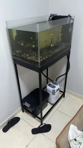 Aquario 