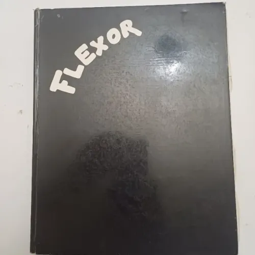 sansão flexor  do figurativismo ao abstracionismo