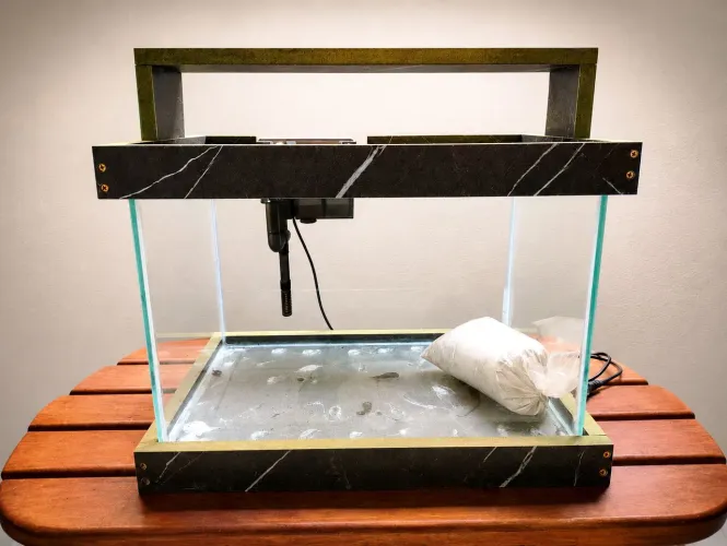 Aquario 36l