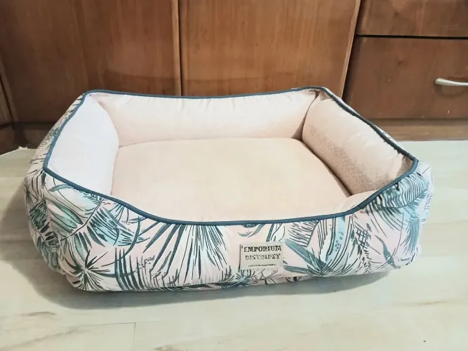 Caminha pet