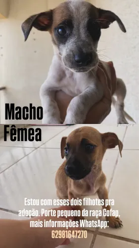 Doação