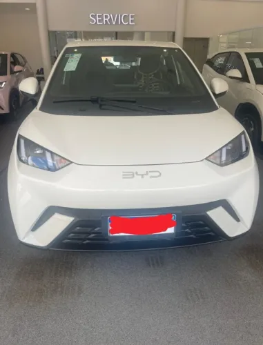 BYD Dolphin Mini (Elétrico) 2025