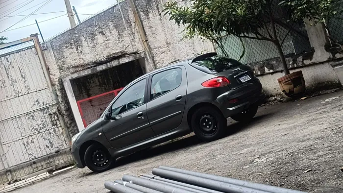 Peugeot 207 XR 1.4 Flex 8V 5P 2011