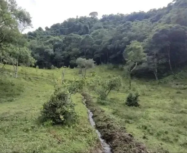 Terreno 120.000m² em Delfim Moreira Mg 