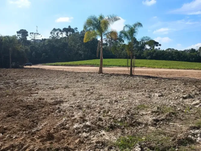 Terrenos rurais para chacara à venda, salgadinho, CAMPO LARGO - PR