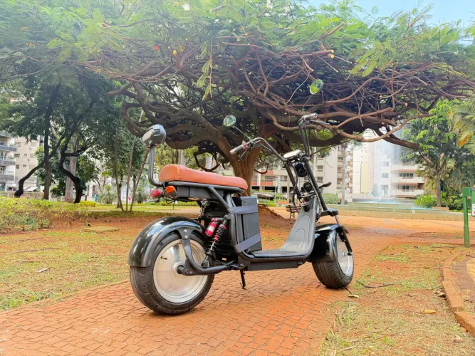 Scooter Elétrica Perfeita!