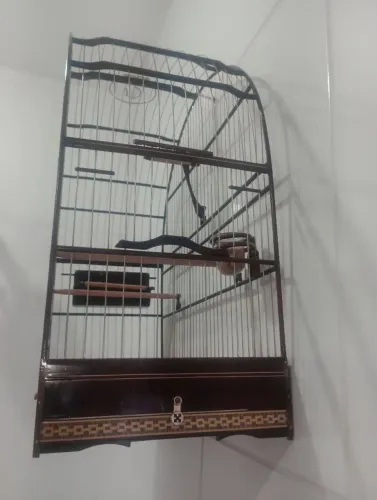 Gaiola de luxo top top...  600 reais..