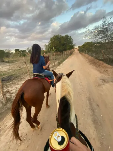 Vende-se cavalo