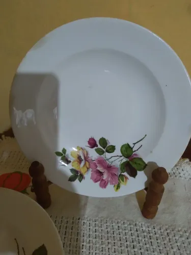 Pratos de porcelana Porto Ferreira