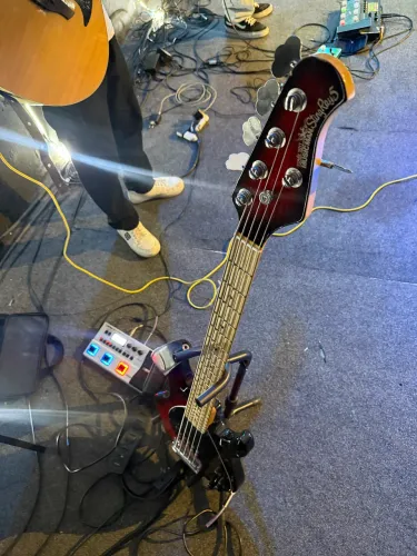 Music man stingray 5