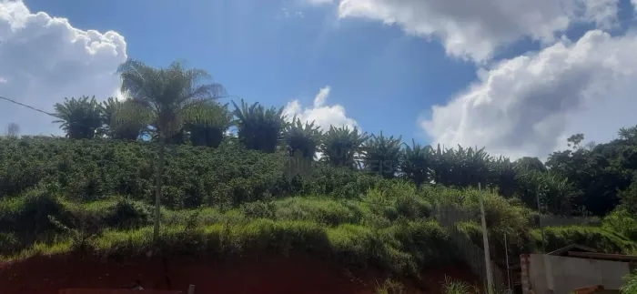 Chácara com 2 dormitórios à venda, 26000 m² por R$ 480.000,00 - Parque do Convento - Guaxu