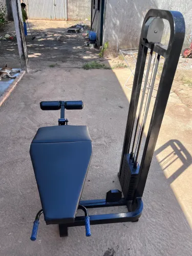 Mesa flexora 