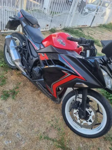Ninja Kawasaki 2014